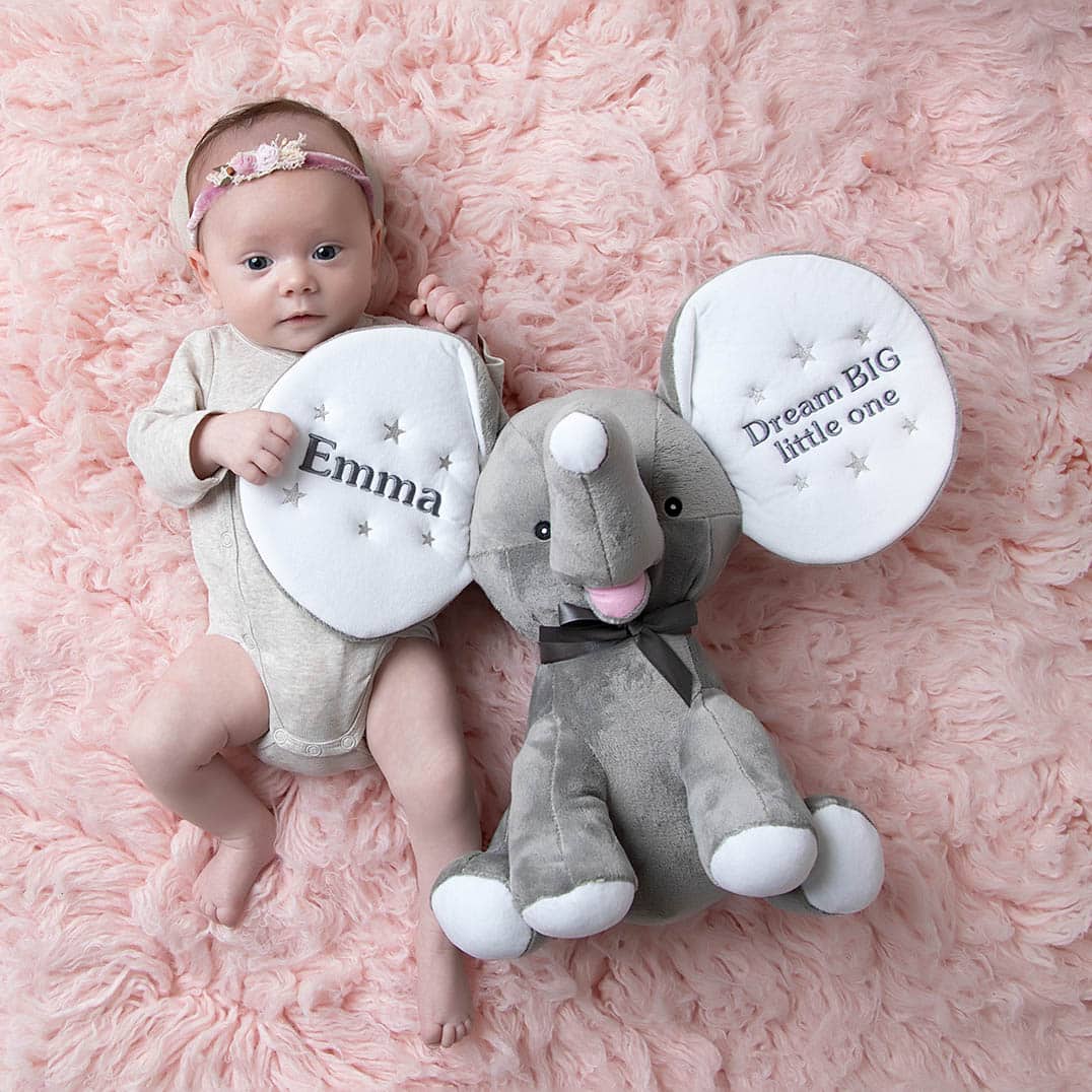 Elefant med navn og en baby