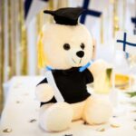 Teddybjørn med studentlue